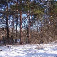 База отдыха Окская, Подмоклово, Московская область