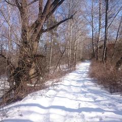 База отдыха Окская, Подмоклово, Московская область