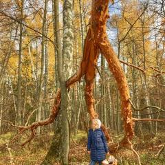 Отель Гуляй Город, Подмоклово, Московская область