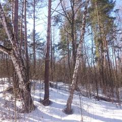 База отдыха Окская, Подмоклово, Московская область