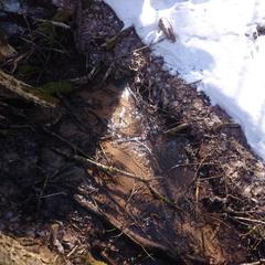 База отдыха Окская, Подмоклово, Московская область