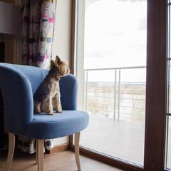 Отель Гуляй Город, Подмоклово, Московская область