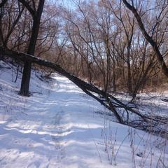 База отдыха Окская, Подмоклово, Московская область
