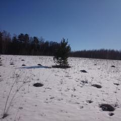 База отдыха Окская, Подмоклово, Московская область