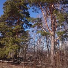 База отдыха Окская, Подмоклово, Московская область