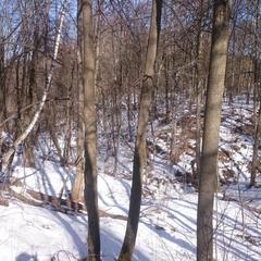 База отдыха Окская, Подмоклово, Московская область