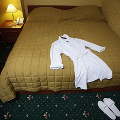 Гостиница Гринъ, Подольск, Московская область