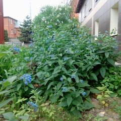 Хостел Комфорт, Подольск, Московская область