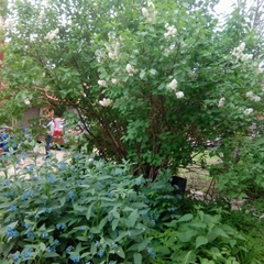 Хостел Комфорт, Подольск, Московская область