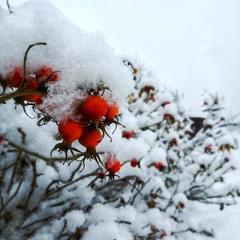 Отель Гуляй Город, Подмоклово, Московская область