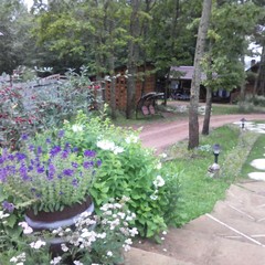 Усадьба Благодать, Полново, Новгородская область