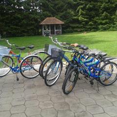 Отель Дом лесника, Полесск, Калининградская область