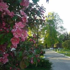 Отель Дом лесника, Полесск, Калининградская область