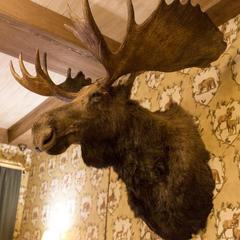 Отель Охотничьи сезоны, Полазна, Пермский край