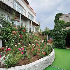 Усадьба Солоха, Поповка, Крым