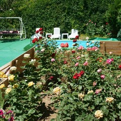 Усадьба Солоха, Поповка, Крым