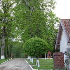 Отель Дом лесника, Полесск, Калининградская область