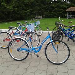 Отель Дом лесника, Полесск, Калининградская область