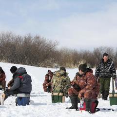 Загородный клуб Прибрежный, поселок Прибрежный, Костромская область