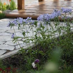 Загородный клуб Прибрежный, поселок Прибрежный, Костромская область