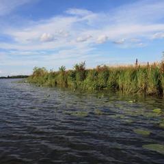 Загородный клуб Прибрежный, поселок Прибрежный, Костромская область