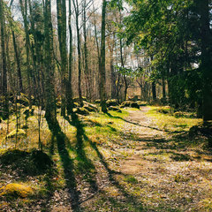 База отдыха Манола, Приморск, Калининградская область