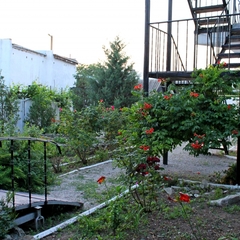 Гостевой дом Лимонад, Приморский (Крым), Крым