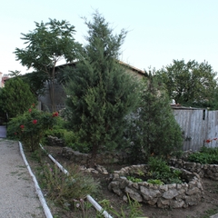 Гостевой дом Лимонад, Приморский (Крым), Крым