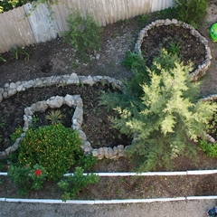 Гостевой дом Лимонад, Приморский (Крым), Крым