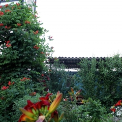 Гостевой дом Лимонад, Приморский (Крым), Крым