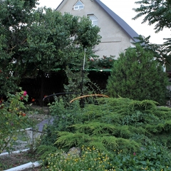 Гостевой дом Лимонад, Приморский (Крым), Крым