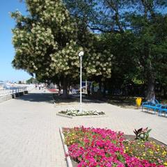 Гостиница Марисоль, Приморско-Ахтарск, Краснодарский край