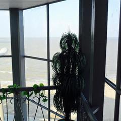 Отель Sari-Yal, Приморско-Ахтарск, Краснодарский край