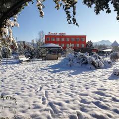 Гостевой дом Лисья Нора, Псебай, Краснодарский край