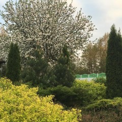 Загородный дом Пушкарёво, Пушкарёво, Калининградская область