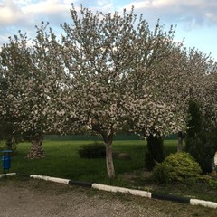 Загородный дом Пушкарёво, Пушкарёво, Калининградская область
