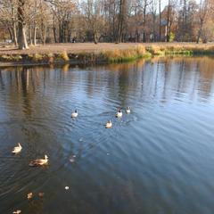 Мини-отель Фриденталь, Пушкин, Ленинградская область