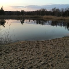 Загородный дом Пушкарёво, Пушкарёво, Калининградская область