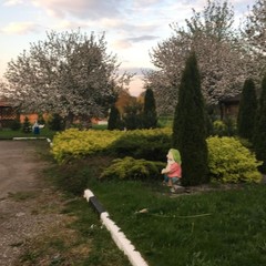 Загородный дом Пушкарёво, Пушкарёво, Калининградская область