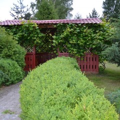 Загородный дом Пушкарёво, Пушкарёво, Калининградская область