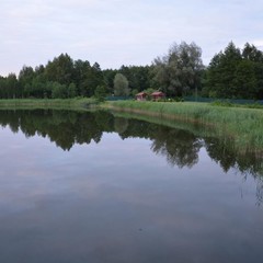 Загородный дом Пушкарёво, Пушкарёво, Калининградская область