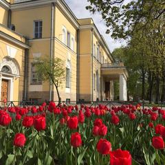 Отель Кочубей-Центр, Пушкин, Ленинградская область
