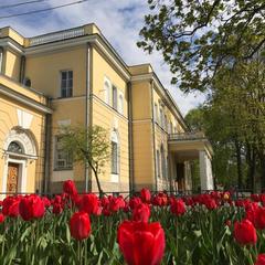 Отель Кочубей-Центр, Пушкин, Ленинградская область