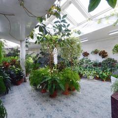 Отель Кочубей-Центр, Пушкин, Ленинградская область