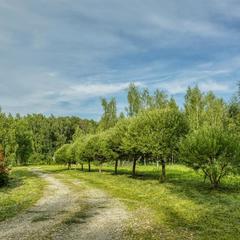  Дом на Лесной Опушке, Пущино, Московская область