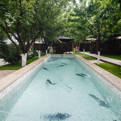 Гостиница Маск, Пятигорск, Ставропольский край