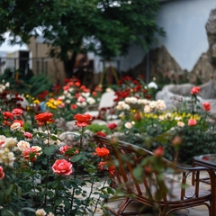 Гостиница Маск, Пятигорск, Ставропольский край