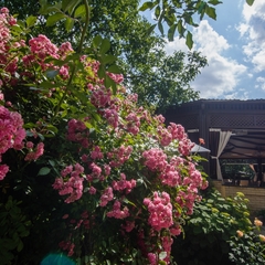 Гостиница Маск, Пятигорск, Ставропольский край