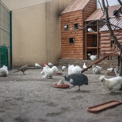 Гостиница Маск, Пятигорск, Ставропольский край