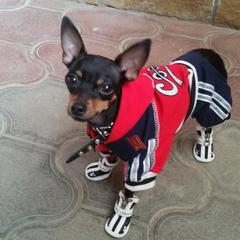 Гостевой дом Respect, Пятигорск, Ставропольский край